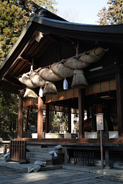 倒里采集到场景