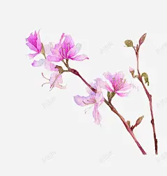 一支桃花高清素材 创意 插画 水墨元素 水墨花 水彩花 艺术 元素 免抠png 设计图片 免费下载 页面网页 平面电商 创意素材