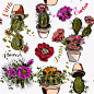 手绘素描景观仙人掌植物盆栽包装插图绿色 AI矢量设计元素  (4)
