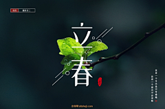 NiceLady采集到字体设计