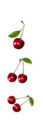樱桃