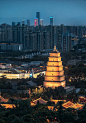 古望今来图片下载