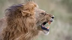 小编私藏给力壁纸图集第68期 美女游戏风景速欣赏