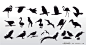 鸟类剪影矢量素材_动物植物_素材中国16素材网