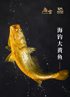 王思源322采集到2415