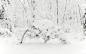 General 2560x1600 snow winter