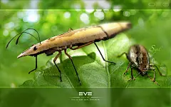 EVE Online 唯美科幻逼真游戏桌面壁纸 1920*1200 游戏