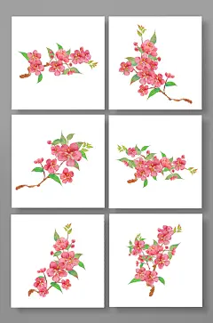 唯美古风手绘桃花樱花花卉元素插画