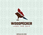 Professional logo in the shape of a woodpecker head with minimalist style, this logo is ideal to be reproduced in different sizes.(woodpecker,animal,bird,farm work,wood,simple,minimalist,adventure,bird wild,mascot,protection,conservation, logo for sale, l