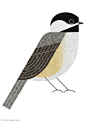 Illustration for a feature on "wild bird" in Martha Stewart Living magazine, September 2013 issue. Ryo Takemasa: 