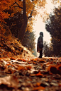 Best new free stock photos - SplitShire