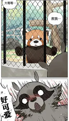 小熊猫：我tm谢谢你_3_西红柿漫剪_来自小红书网页版