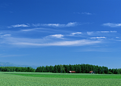 何余多采集到风景