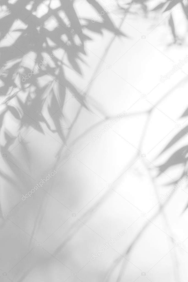Gray shadow of the l...