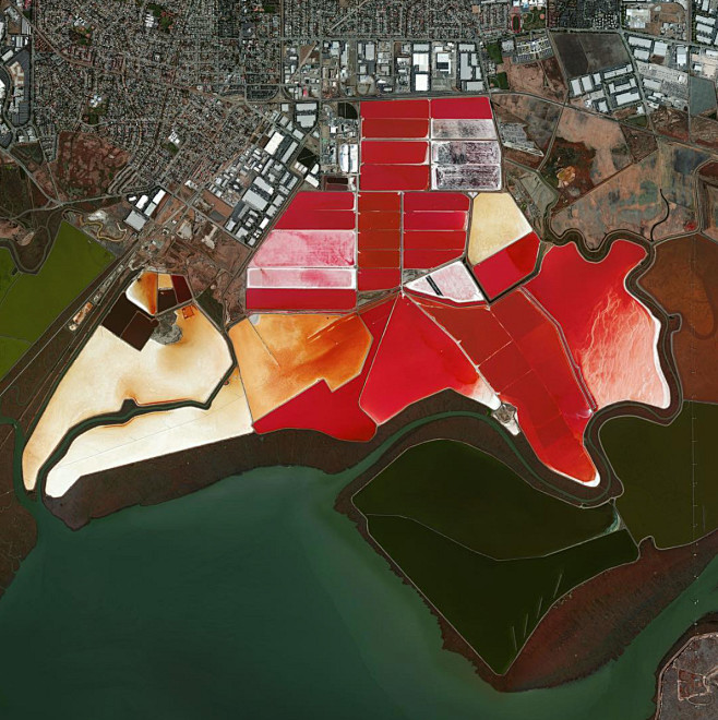 美国旧金山呈铁锈红色的盐池。