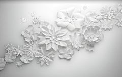 嘘xu~采集到photo.white