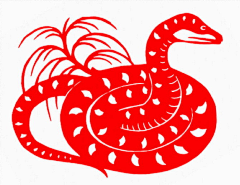 形散如烟采集到生肖