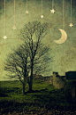 Moon and Trees and Stars by Child of Danu, via Flickr