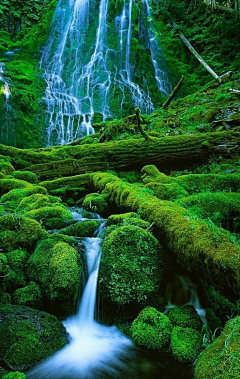 叶子_瑜采集到景