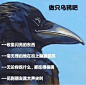 全网寻找更多这种充满... - @口大奇瘪瘪的微博 - 微博