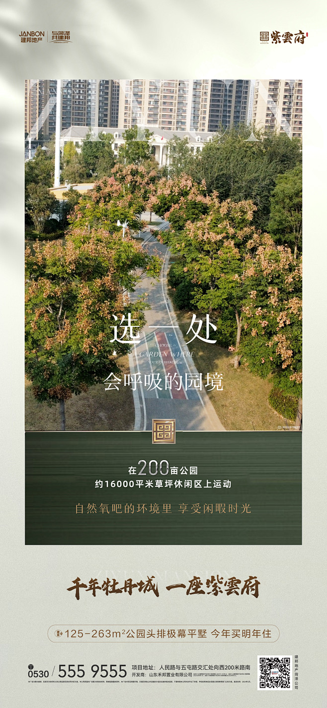 0220地块五单图_画板 1 副本 9
