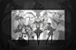 Star Guardian - Splash Art League of Legends：Wild Rift, Foritis wang : Earlier this year I had the opportunity to work on this piece in collaboration with Riot Games. 

Client: Riot Games
Riot Games AD: Ross Kurtis

FOLLOW ME HERE:
Weibo:https://weibo.com