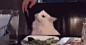 女子骂猫图艺术馆（多图预警）