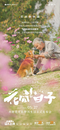 小花❀❀❀采集到节日