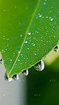 雨水实景感雨天氛围场景背景