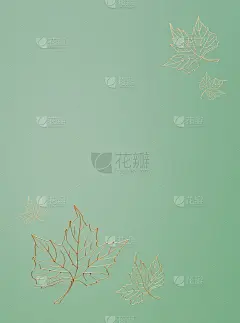 薄荷色背景下的金色枫叶