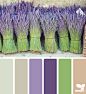 bundled hues 20140225