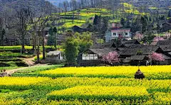 看一本书期待它让你变得深刻，去游泳期待它让你一斤斤瘦下来，发一条短信期待被回复，对别人好期待被回待以好，写一个故事说一个心情期待被关注被安慰，其实你之所以觉得不够快乐是因为你总是在期待一个结果，而生活时常和我们开着玩笑，你期待什么，什么就会离你越远