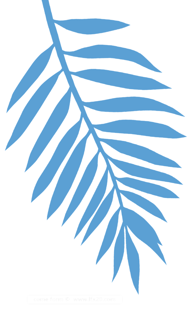 [ 乐分享 ] PNG高清免扣植物 ww...