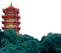 黄鹤楼照片_5592153992