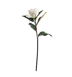 MUMEI学采集到古风花卉树木素材