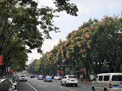 别墅花园设计师采集到道路