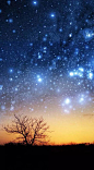 星空_百度图片搜索