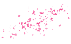 Kamill采集到花
