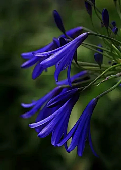 烟雨兰花采集到情感美文之三