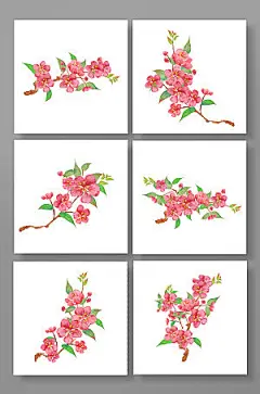 矢量手绘桃花樱花花卉元素插画
