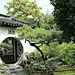 #古典园林# #建筑景观# #苏州园林#