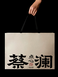 宝豚品牌设计采集到品牌LOGO及VI