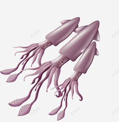 手绘卡通海鲜鱿鱼 美食 美食海报设计 元素 免抠png 设计图片 免费下载 页面网页 平面电商 创意素材