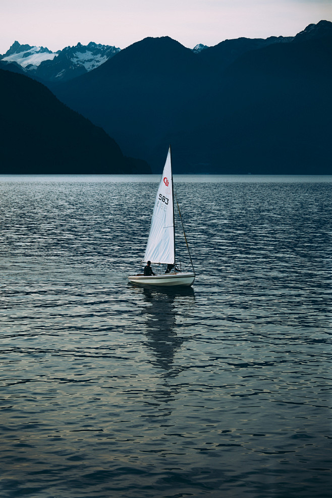 凡心所向素履所往生如逆旅一苇以航