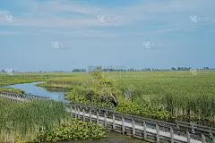 贝利角国家公园的沼泽板步道_5252573442_5742006262