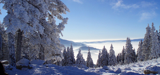 自然,山川,森林,雪,冬季壁纸-桌面背景...