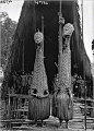 Papua New Guinea | Masked dancers in front of the men’s longhouse at Tovei village. Urama Island, Gulf Province.  June 1921. | ©Frank Hurley, courtesy Australian Museum.: 