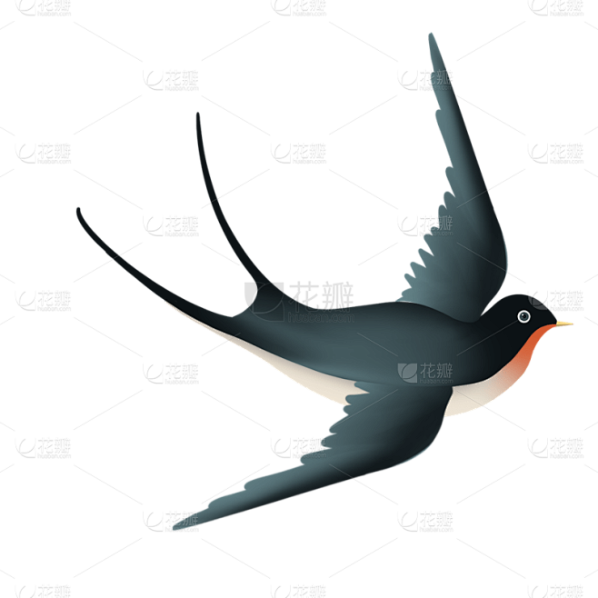 燕子