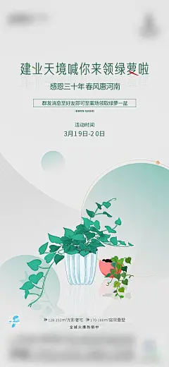 海报 地产 暖场活动 绿萝 多肉 插画 简约