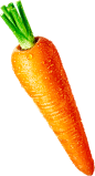 胡萝卜